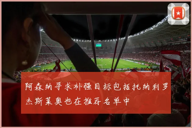 阿森纳寻求补强目标包括托纳利罗杰斯莱奥也在推荐名单中